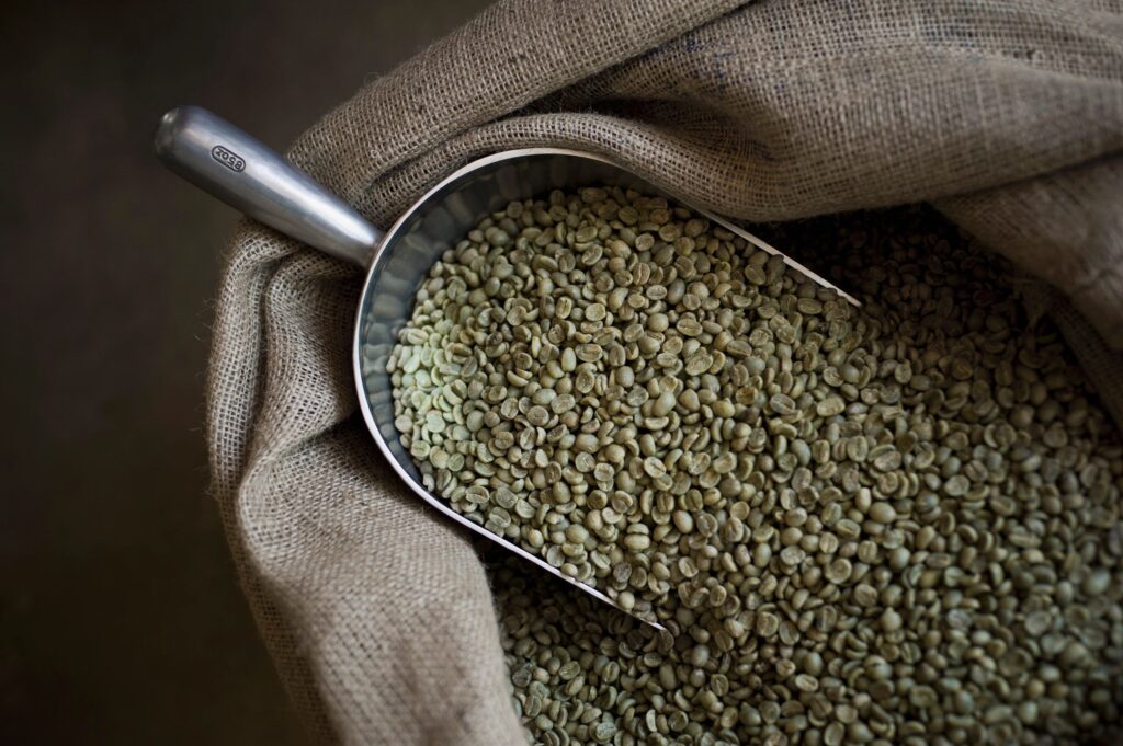 Green Coffee Beans with Large Scoop